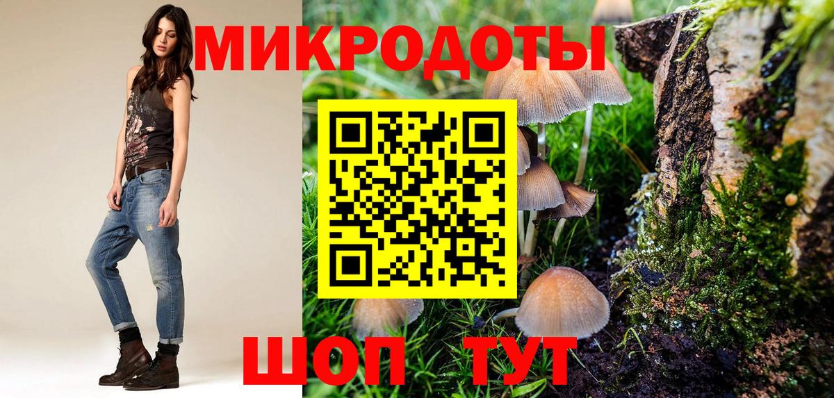 Галлюциногенные грибы Psilocybine cubensis Сосновоборск